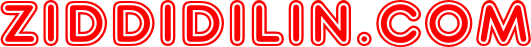 ziddidilin.com